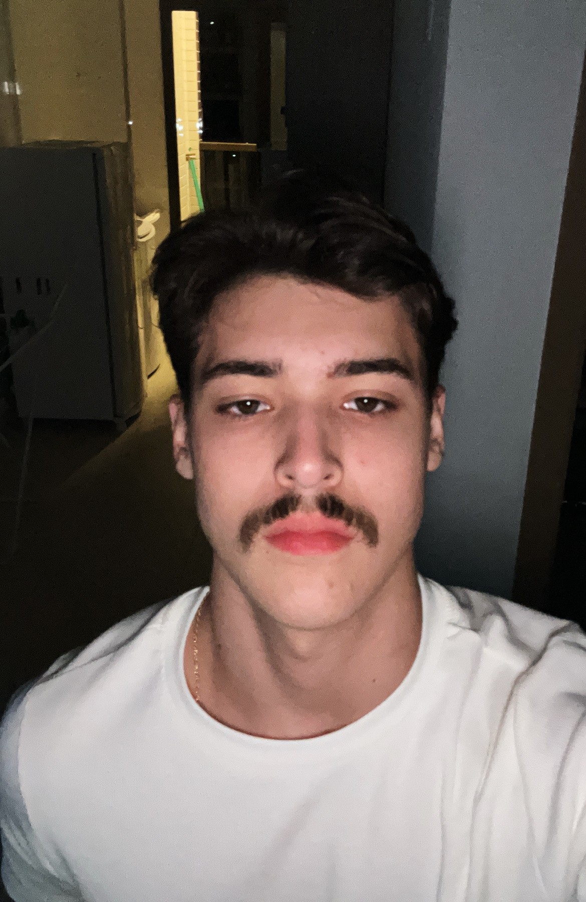 Meu Perfil